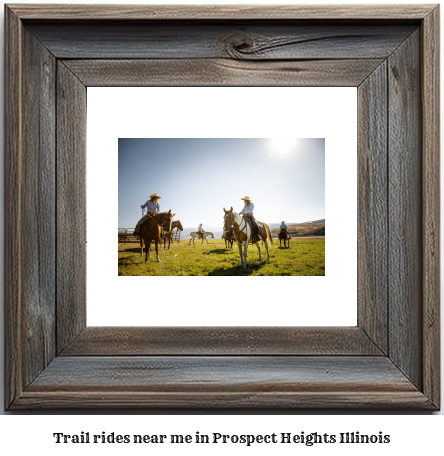 trail rides near me in Prospect Heights, Illinois